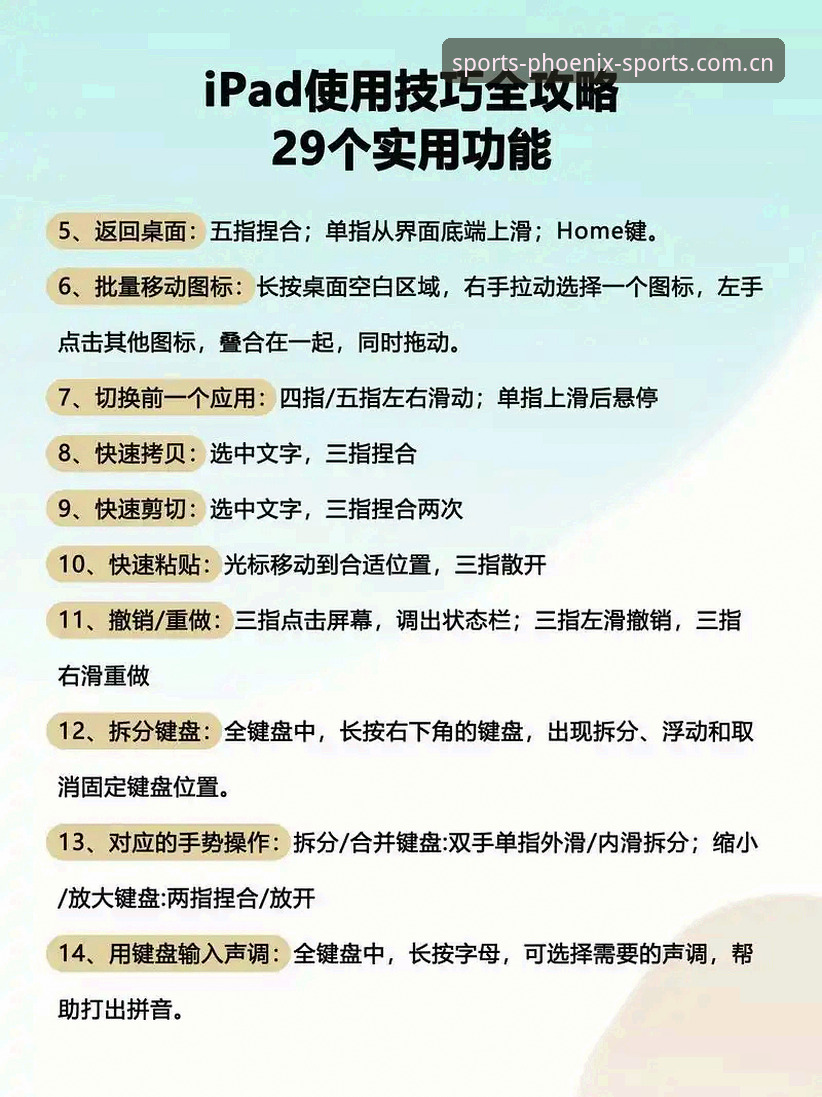 凤凰体育平台电脑版手机版使用技巧与常见问题必备知识